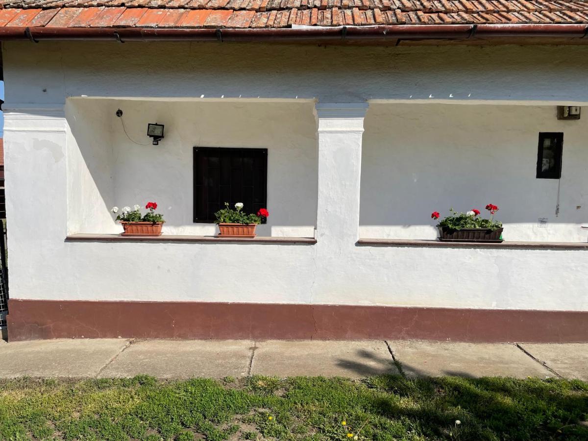 Zsuzsa Apartman Apartment Poroszlo Bagian luar foto